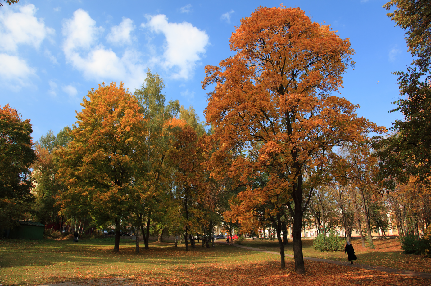 Осень в Курске