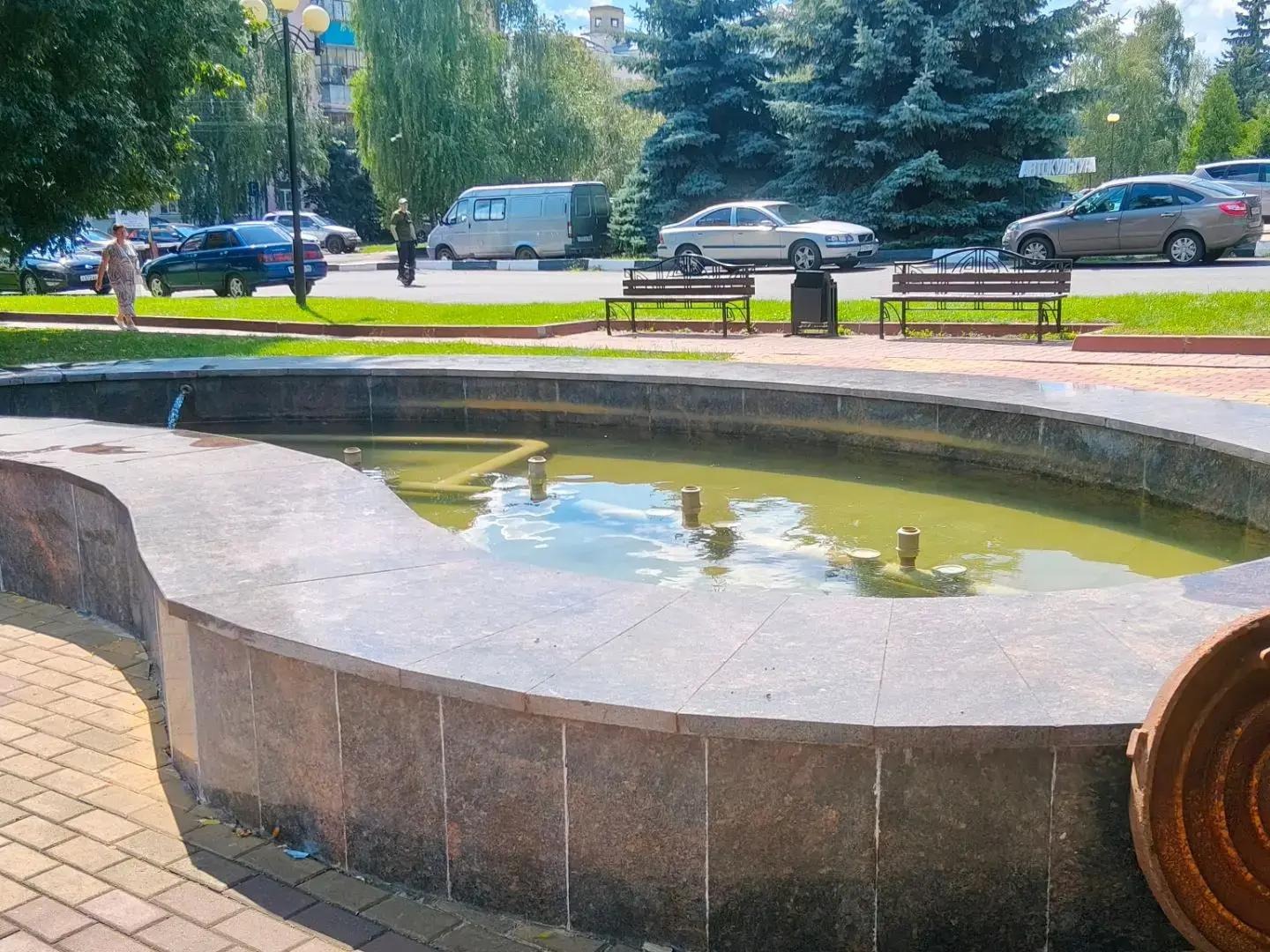 В Курске завершены работы по очистке фонтана, расположенного рядом с памятником композитору Георгию Свиридову.