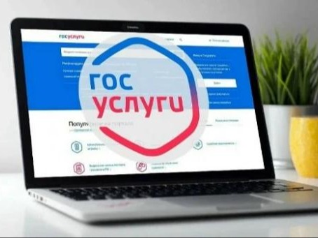 Сервисы для организации проверки законности торговли появились на «Госуслугах».