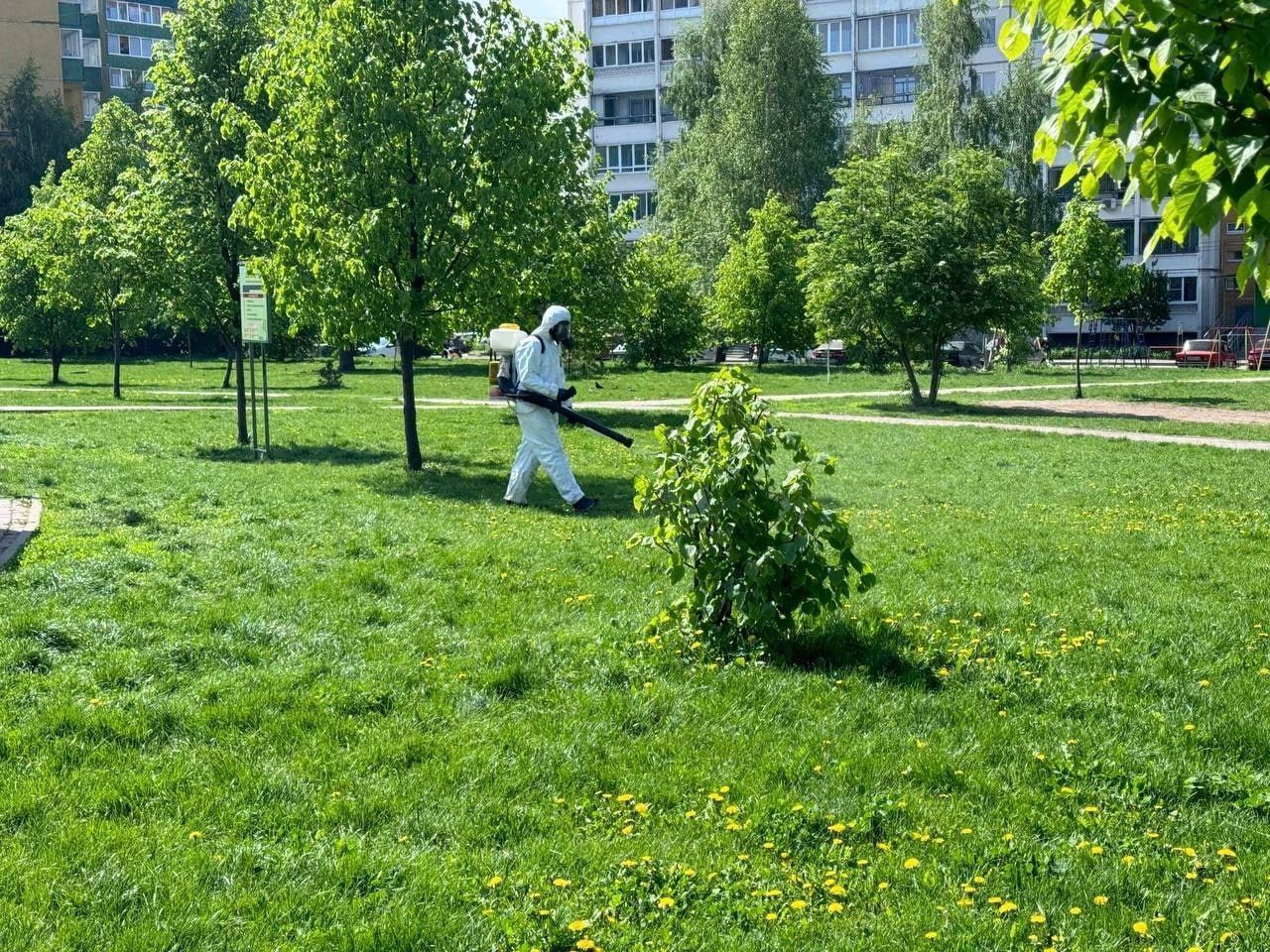 Подрядные организации продолжают проводить акарицидную обработку парков и скверов Курска..