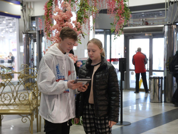 Курские волонтеры помогают в голосовании за объекты благоустройства нацпроекта «Жилье и городская среда», инициированного Президентом России.