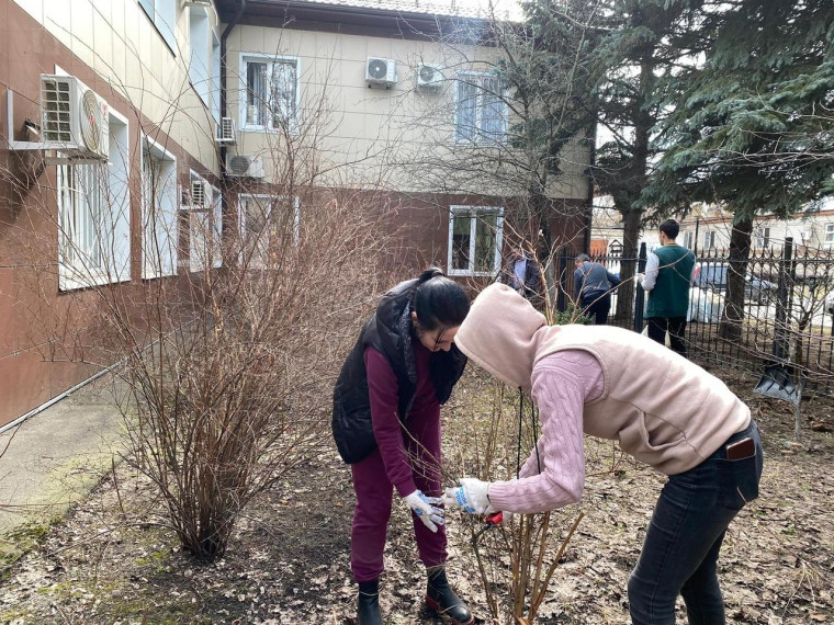 Минприроды Курской области сегодня работают в районе улиц Школьная, 50 и 3-я Песковская, 40, а также на прилегающих территориях.