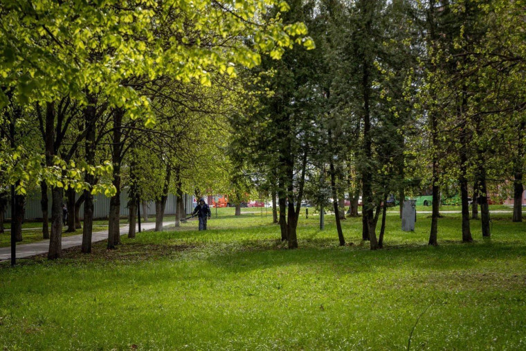 В Курске продолжается акарицидная обработка общественных пространств.