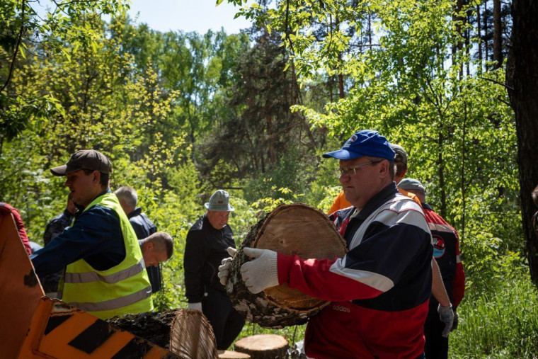В Курске прошла акция по заготовке дров для участников СВО.