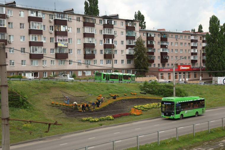 В Курске продолжаются работы по озеленению.